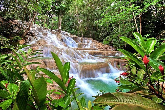 Dunn's river falls, shopping and lunch - Key Points