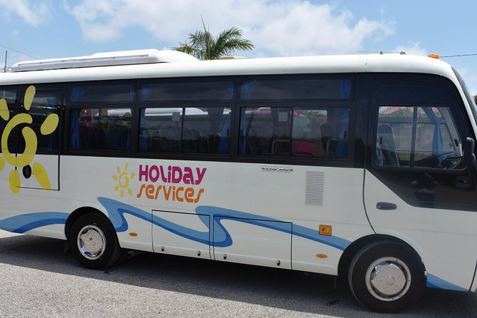 Dunns River Falls Tour From Ocho Rios - Customer Reviews and Experiences