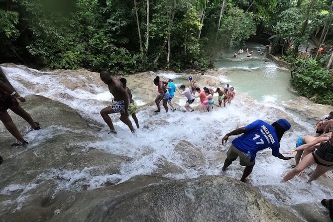 Dunns River Falls With Private Transportation From Montego Bay - Private Transportation Details