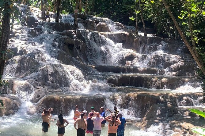 Dunns River Falls, Zipline Adventure From Kingston - Immerse in the Beauty of Kingston