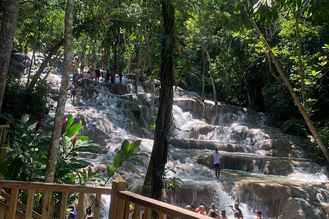 Dunns River Falls, Zipline Adventure From Kingston - Customer Testimonials and Reviews