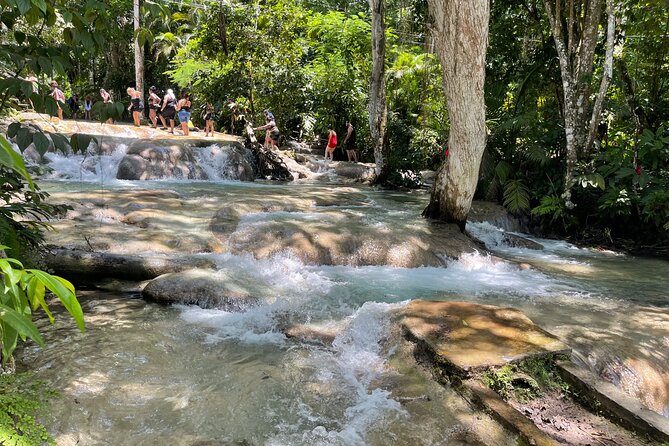 Dunn's River Falls, Zipline, ATV & Horseback Ride Guided Tour - Tour Highlights and Recommendations