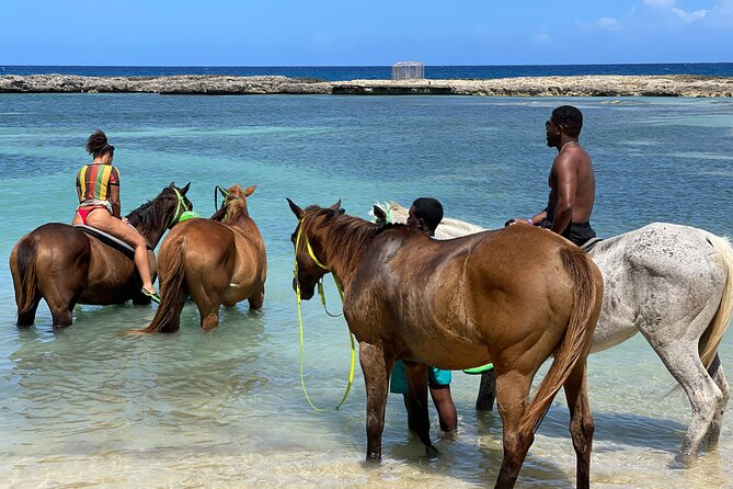 Dunns River Falls, Zipline, Bamboo Rafting & Horseback Tour - Booking Information