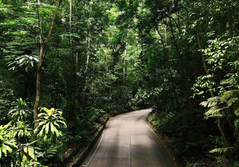 Dunn's River Falls, Ziplines and Fern Gully Adventure - Ascending Dunns River Falls