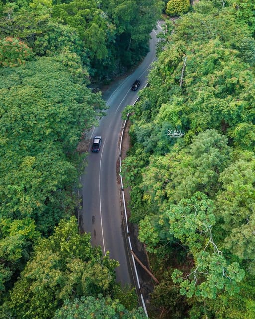 Dunn's River Falls, Ziplines and Fern Gully Adventure - Ziplining Through the Canopy