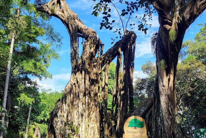 Dunn'S River & Horse Back Riding Activity From Montego Bay - Booking Your Stay