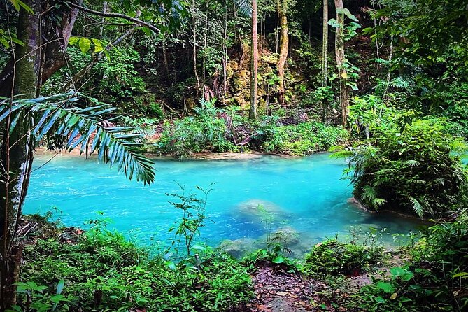 Dunns River Tour - Tour Overview