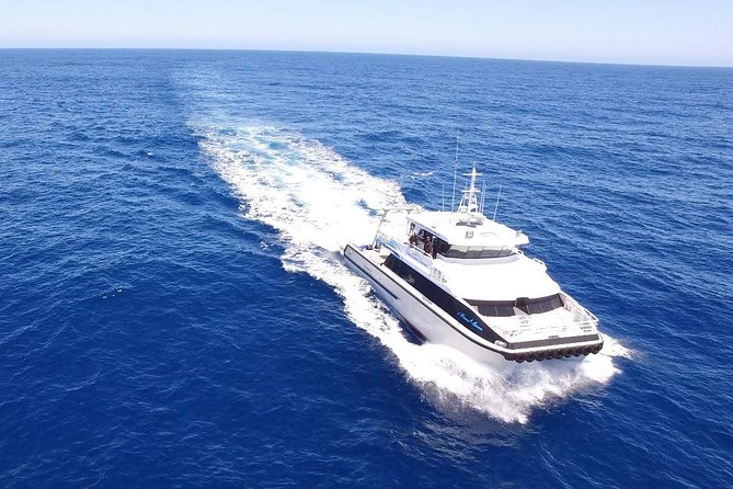 Dunsborough Whale Watching Eco Tour - Tour Schedule and Timing