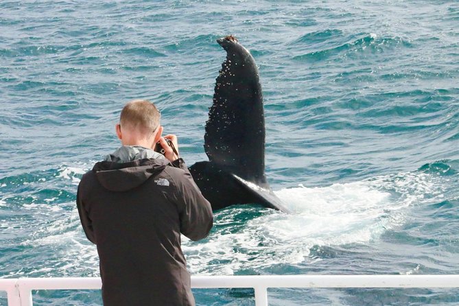 Dunsborough Whale Watching Eco Tour - Tour Inclusions and Requirements