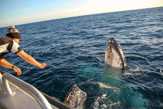 Dunsborough Whale Watching Eco Tour - Cancellation Policy