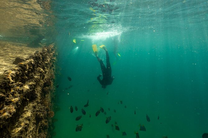 Dunwich: Moreton Bay Islands Boat Tour With Swimming - Boat Cruise and Snorkeling