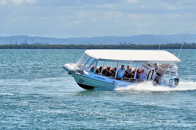 Dunwich: Moreton Bay Islands Boat Tour With Swimming - Marine Life Observation