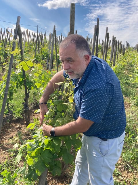 DUO PARENTS CHILDREN WINE CÔTE-RÔTIE TOUR VISIT - Viticulture Challenges