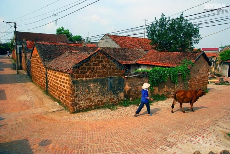 Duong Lam Ancient Village Day Trip Private Tour - Itinerary Highlights