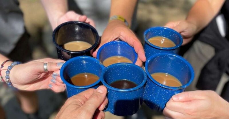 Dupont State Forest: Three Waterfalls Hike With Coffee Brew - Waterfall Exploration