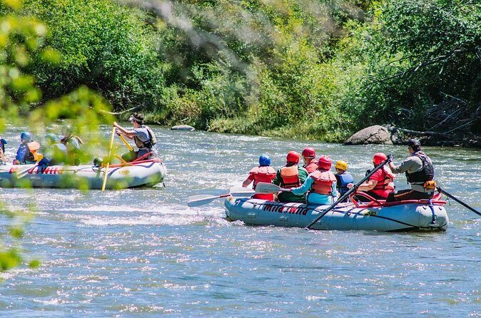 Durango 3/4 Day Rafting Trip with Lunch - Lower Animas River - Customer Experience and Guides