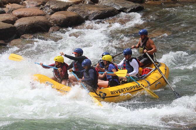 Durango 4.5 Half-Day Rafting Trip Down the Animas River - Inclusions