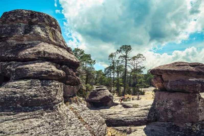 Durango: Beauties of the Sierra Madre Occidental Tour - Inclusions
