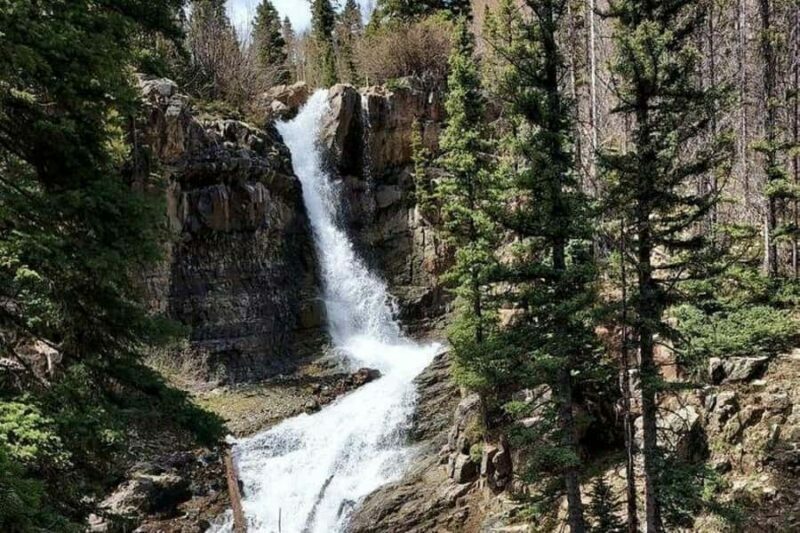 Durango: Custom Safari Jeep Trail Tour 5 Hours - Key Points