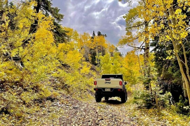 Durango: Custom Safari Jeep Trail Tour 5 Hours - The Practical Side: Logistics and Comfort