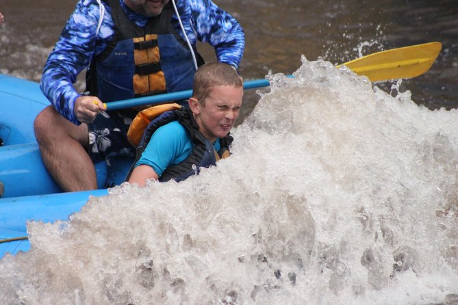 Durango Family-Friendly 2-Hour Rafting Trip - Rapids and Suitability