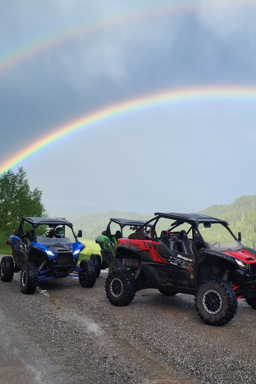 Durango: Guided 4 Hour UTV/RZR Tour - Key Points