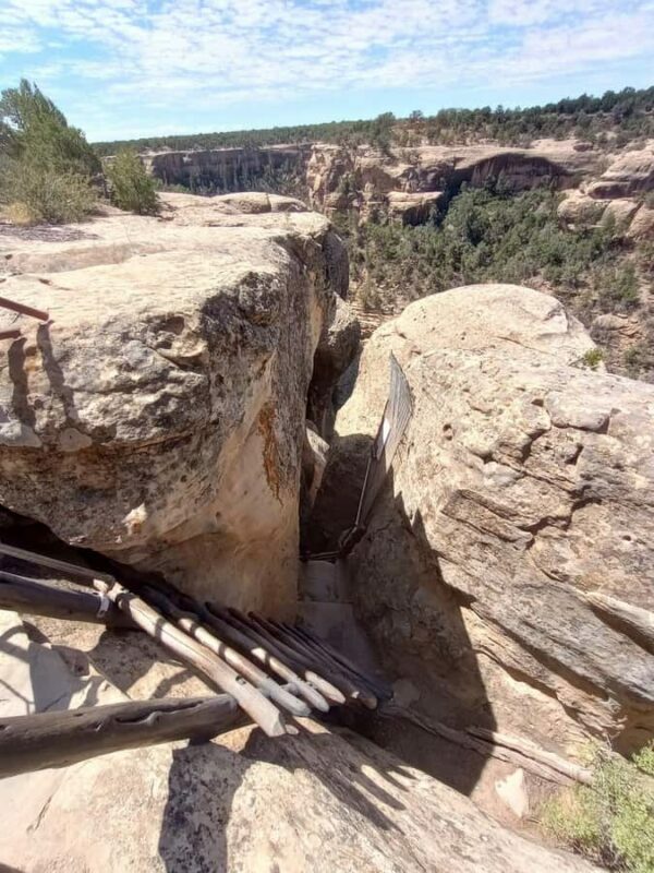 Durango ~ Mesa Verde Express Tour & Cliff Palace Ticket - The Role of the Guide