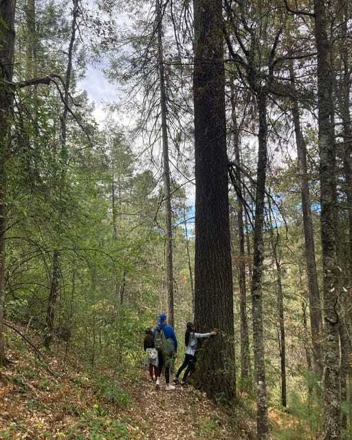 Durango: Parque La Piramide Ziplining and Hiking Experience - Important Information