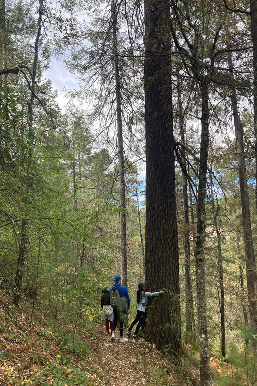 Durango: The Pyramid Park Bird Watching and Hike - Key Points