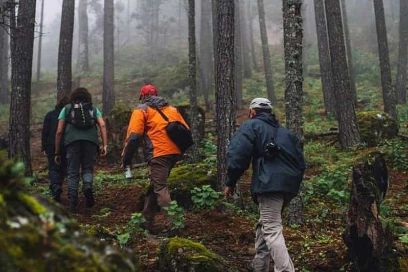 Durango: The Pyramid Park Bird Watching and Hike - Locations and Highlights