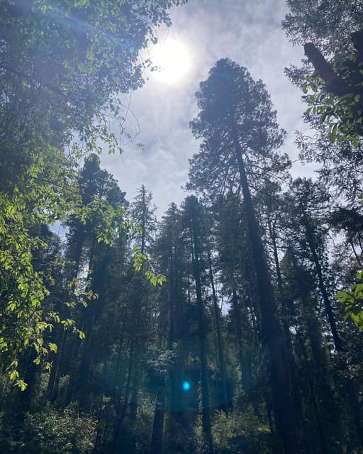 Durango: The Pyramid Park Bird Watching and Hike - Participant Requirements