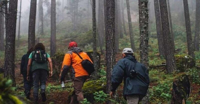 Durango: The Pyramid Park Bird Watching and Hike - About Parque La Pirámide
