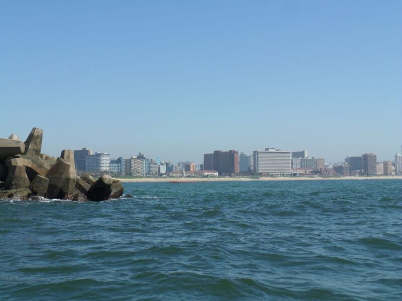 Durban: 1-Hour Boat Cruise From Wilsons Wharf - Durban Skyline Vistas