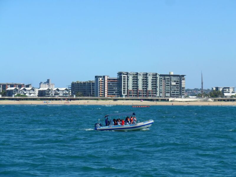 Durban: 1-Hour Boat Cruise From Wilsons Wharf - Catamaran Cruise Experience