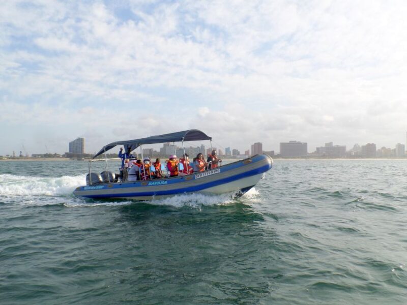 Durban: 1-Hour Boat Cruise From Wilsons Wharf - Knowledgeable Crew Commentary