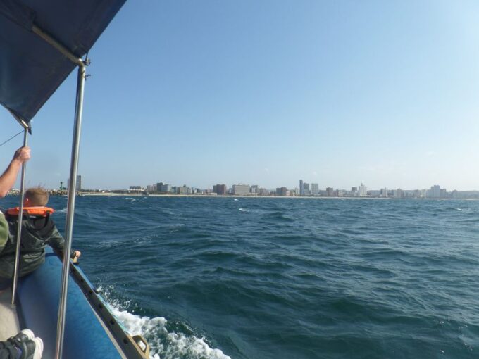 Durban: 1-Hour Boat Cruise From Wilsons Wharf - Possible Dolphin Sightings