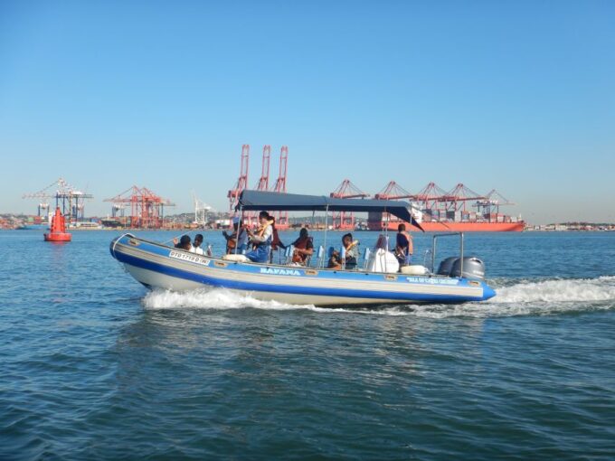 Durban: 1-Hour Boat Cruise From Wilsons Wharf - Booking and Availability