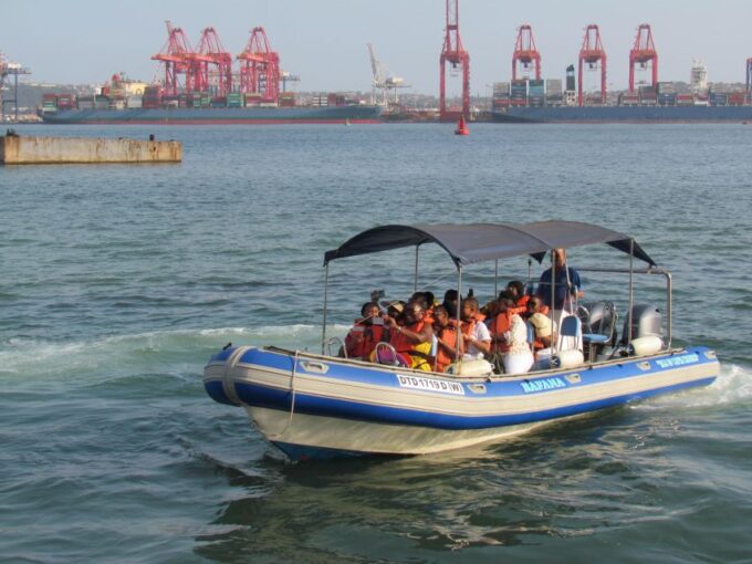 Durban: 1-Hour Boat Cruise From Wilsons Wharf - Mobility and Access Considerations