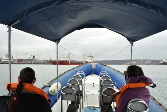 Durban: 1-Hour Boat Cruise From Wilsons Wharf - Frequently Asked Questions