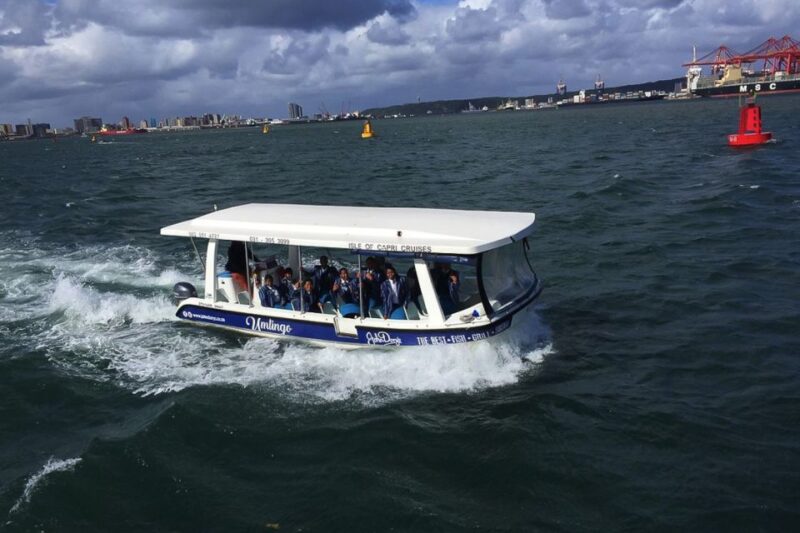 Durban: 30-Minute Harbor Boat Cruise - Key Points