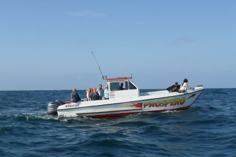 Durban: 30-Minute Harbor Boat Cruise - Practical Information
