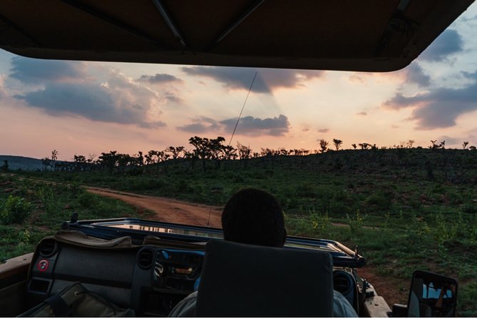 Durban: Big 5 Luxury Safari at an Award Winning Game Reserve — Zeiss Binoculars - Key Points
