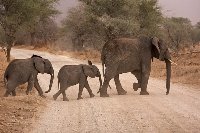 Durban: Big 5 Luxury Safari at an Award Winning Game Reserve — Zeiss Binoculars - Exploring the Award Winning Game Reserve