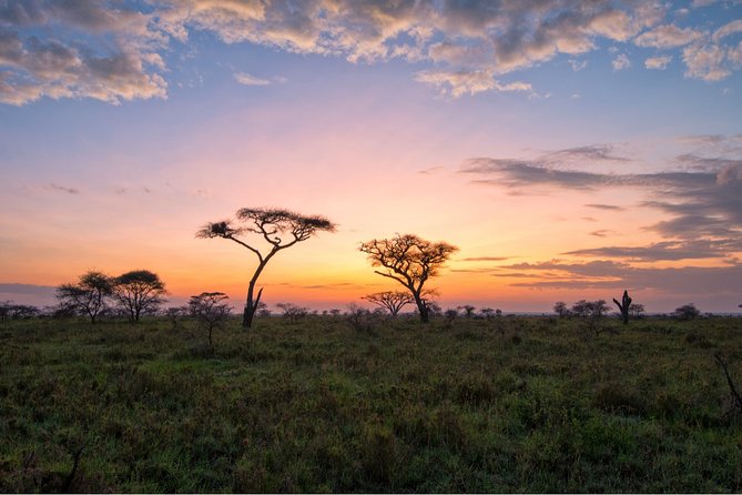 Durban: Big 5 Luxury Safari at an Award Winning Game Reserve — Zeiss Binoculars - The Role of Zeiss Binoculars