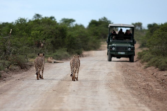 Durban: Big 5 Luxury Safari at an Award Winning Game Reserve — Zeiss Binoculars - Appreciating the Natural Beauty of South Africa