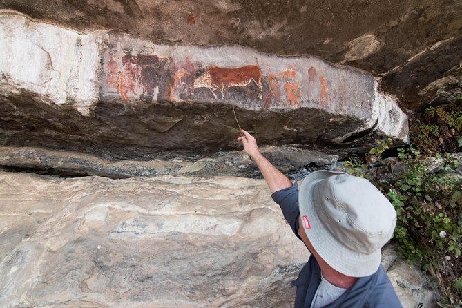 Durban: Drakensberg Rock Art, Midlands Meander & Mandela Capture Site - Physical Requirements for the Tour