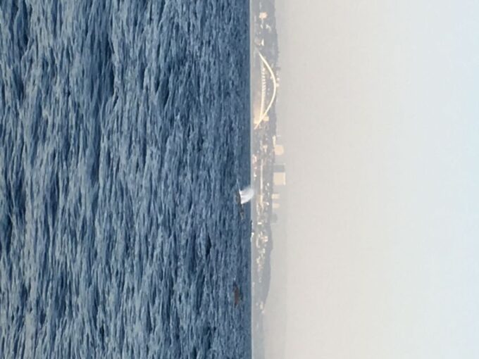 Durban: Durban: Whale and Dolphin Watching Boat Tour - Tour Duration and Seasonality