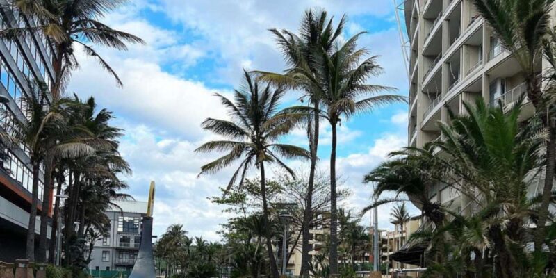 Durban: Gondola Ride With Welcome Drink - Customer Feedback