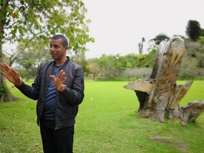 Durban: Interactive Sightseeing Tour With Locals - Meet the Dancing Curator