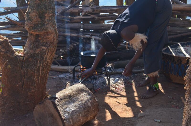 Durban: Phezulu Cultural Village & Reptile Park Tour - Zulu Culture and Living